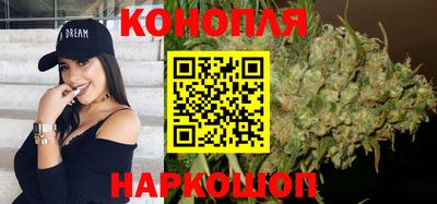 сатива Обь