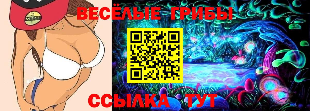 Псилоцибиновые грибы GOLDEN TEACHER  Вход с VPN  Строитель 